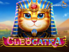 Bedava slot casino oyunları17